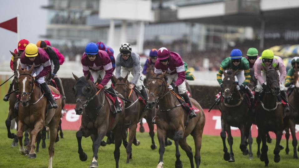 Galway Plate action